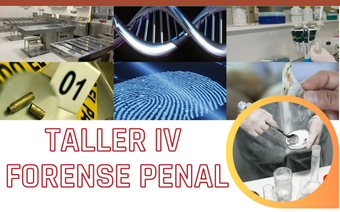 TALLER IV - FORENSE PENAL - JUN 25