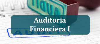Auditoria Financiera I