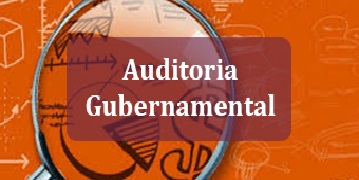 Auditoria Gubernamental
