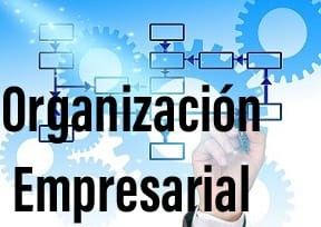 Organización Empresarial