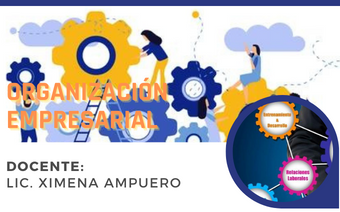 Organización Empresarial