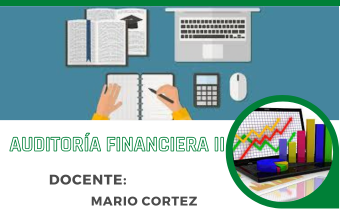 AUDITORIA FINANCIERA II